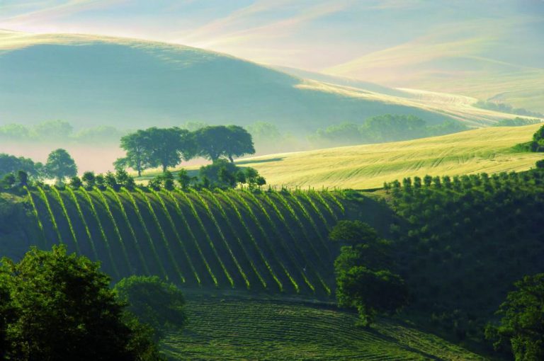 Ochutnejte nejlepší italská vína