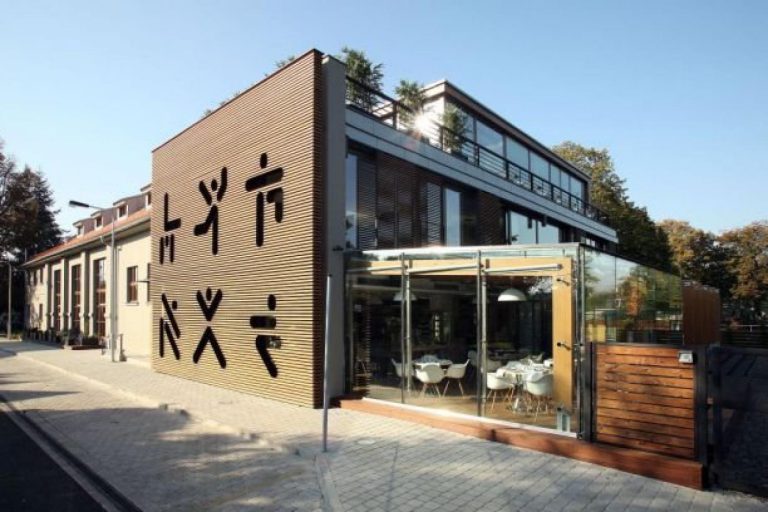 Oslavy mladého vína