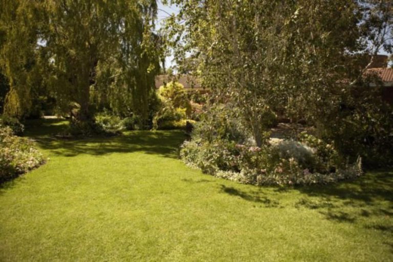 Březen na zahradě Březen na zahradě