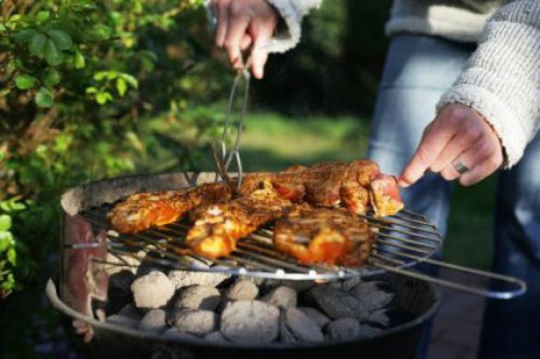 Grilování: jak vybrat gril a palivo Grilování: jak vybrat gril a palivo