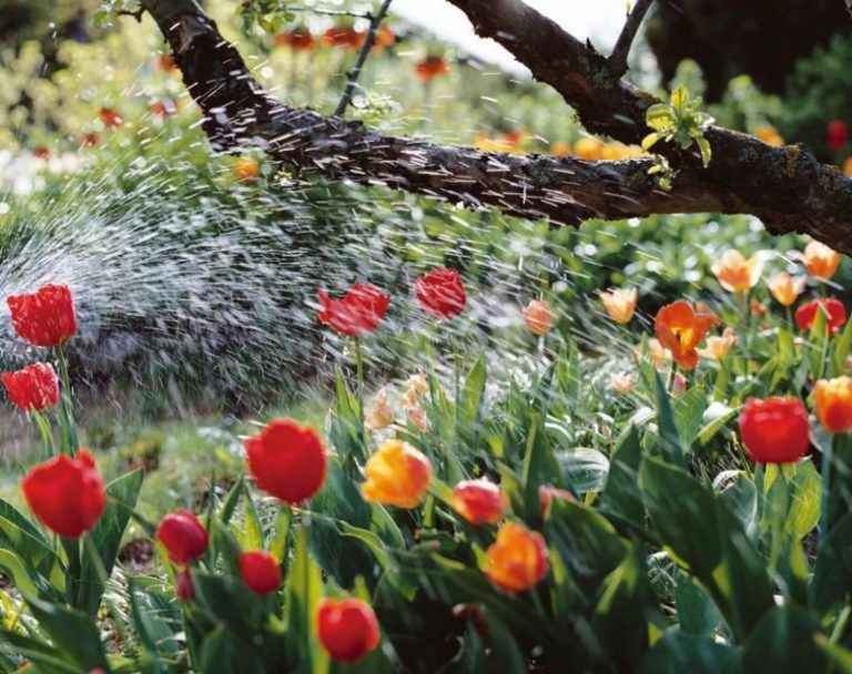 Pravidla zavlažování