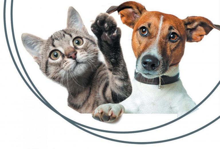 Jarní veletrh FOR PETS pro všechny majitele zvířat