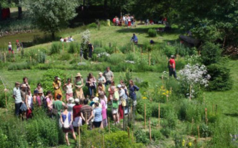 Vydejte se na Svatojánské slavnosti bylin