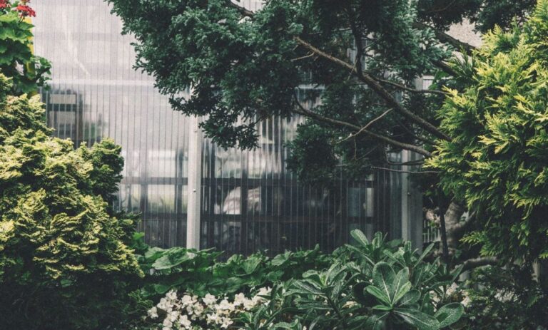 Tip pro zahrádkáře: V září vysaďte náhradu za uschlou zeleň Tip pro zahrádkáře: V září vysaďte náhradu za uschlou zeleň