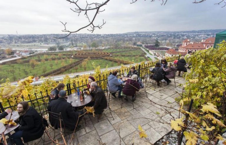 Kam vyrazit ochutnat Svatomartinské víno