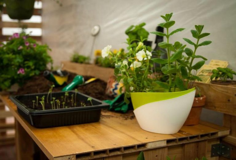 Pozvánka na mini festival o zahradničení ve městě Letná roste