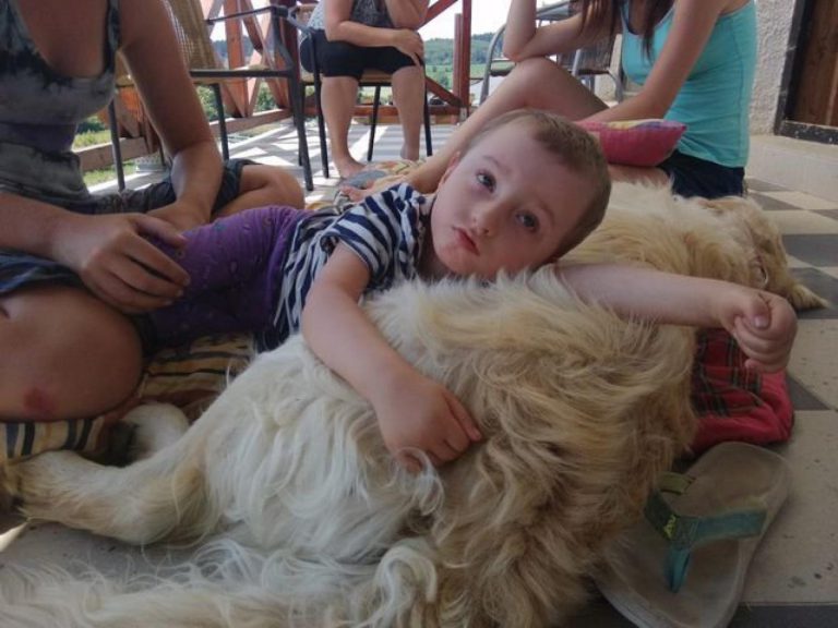 Charitativní koncert PRO KAČENKU