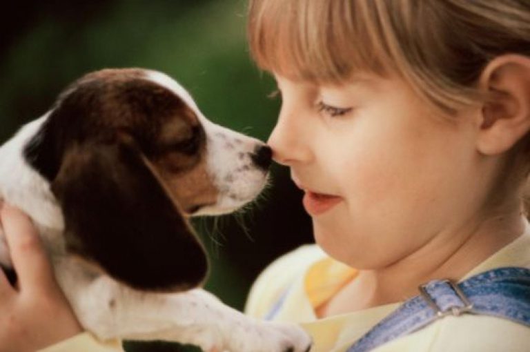 Máte doma psa a rádi byste se přiučili, jak ho ještě lépe vychovávat a cvičit? Pomůže vám v tom speciální akce, která aktuálně probíhá na mnoha místech ČR.