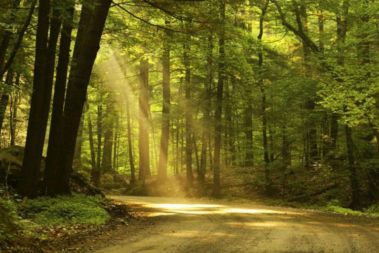 Jak zachovat vzpomínku na zesnulého?