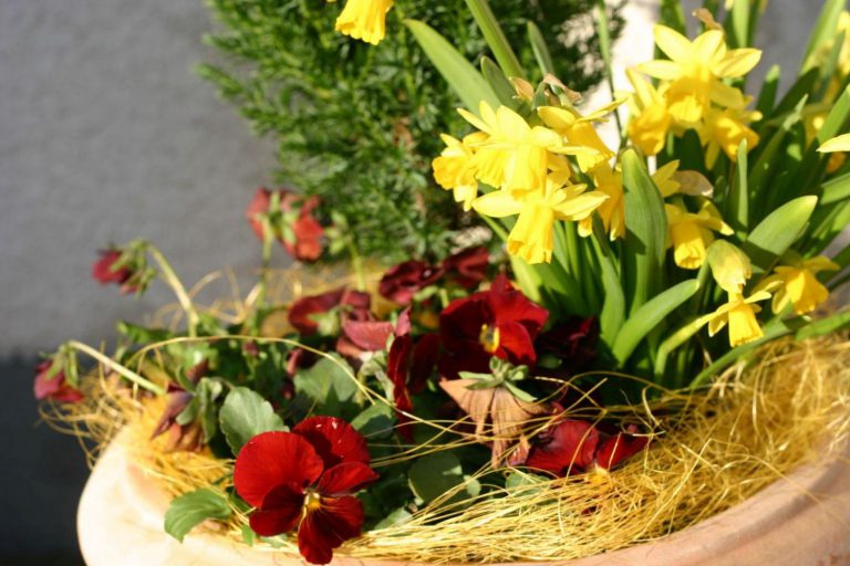 Jarní úklid podle feng shui