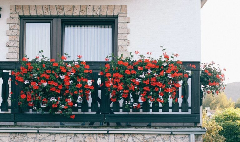 Jak na zahradu na balkoně Jak na zahradu na balkoně