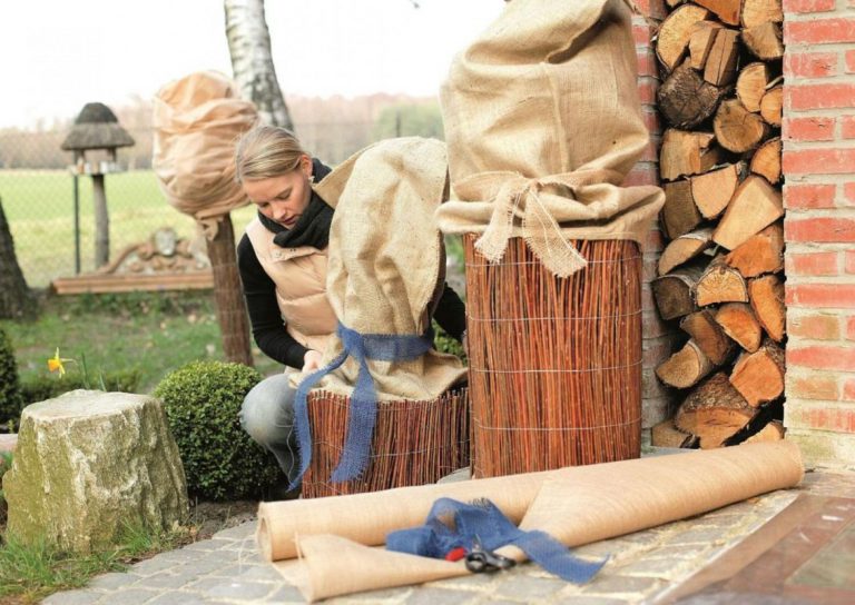 Podzimní úklid zahrady a její zazimování