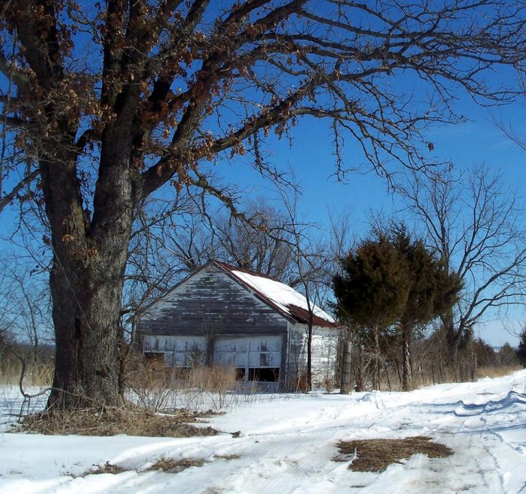 Proč koupit zahradní domek v zimě a jak o něj pečovat