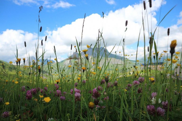 Tip na výlet: Národní park Vápencové Alpy v Rakousku Tip na výlet: Národní park Vápencové Alpy v Rakousku
