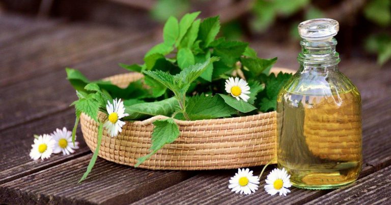 Detoxikujte své tělo a získejte novou energii a vitalitu