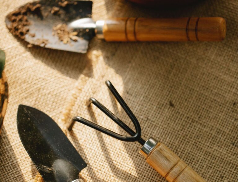 Únor na zahradě: prořez stromů, setí i přesazování Únor na zahradě: prořez stromů, setí i přesazování