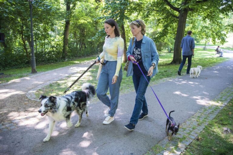 Filmová premiéra: Řekni to psem Filmová premiéra: Řekni to psem