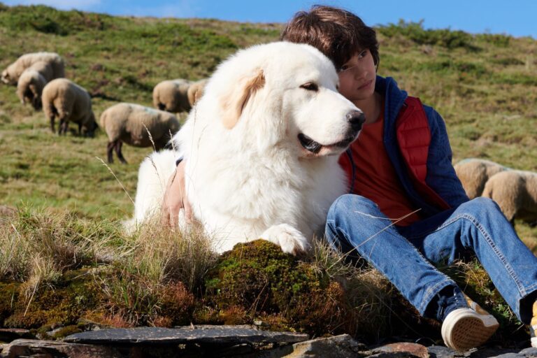 Filmová premiéra – Bella a Sebastian: Nová generace Filmová premiéra - Bella a Sebastian: Nová generace