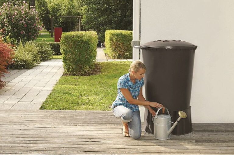 Jak využít dešťovou vodu: na zavlažování i do bazénu