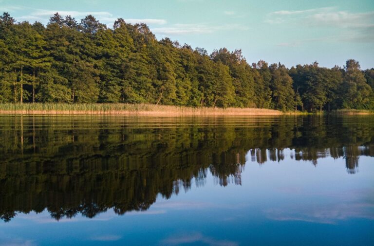 Koupání v přírodě: jak poznat nezávadnou vodu Koupání v přírodě: jak poznat nezávadnou vodu