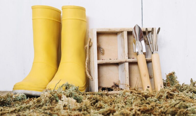 Zazimování zahrady: ošetřete správně rostliny i trávník