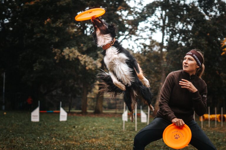 Dogfrisbee: posiluje vazby mezi psem a jeho majitelem