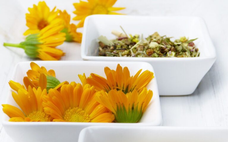 Měsíček lékařský v péči o pleť: čistí ji a uklidňuje Měsíček lékařský v péči o pleť: čistí ji a uklidňuje