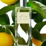 Oriflame Men’s Collection Citrus Tonic EDT