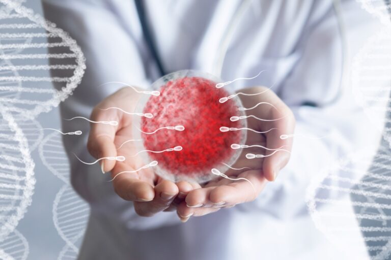 Mateřství díky dárcovství: Jak funguje darování vajíček a kdo může pomoci? Mateřství díky dárcovství: Jak funguje darování vajíček a kdo může pomoci?