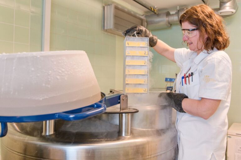 Výzkum rakoviny by nebyl možný bez lidských vzorků. Tkáně, buňky a další části těl se skladují v biobankách Výzkum rakoviny by nebyl možný bez lidských vzorků. Tkáně, buňky a další části těl se skladují v biobankách