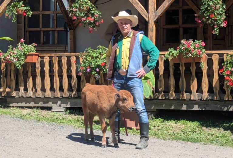 Šikland odstartoval léto naplno a s novou posilou: malou bizonicí Calamity Jane