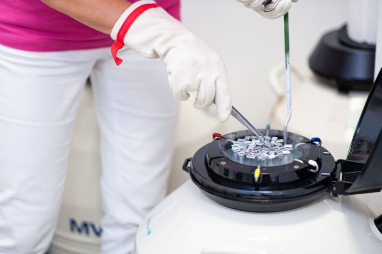 Social freezing: biologická fakta i rizika Social freezing: biologická fakta i rizika